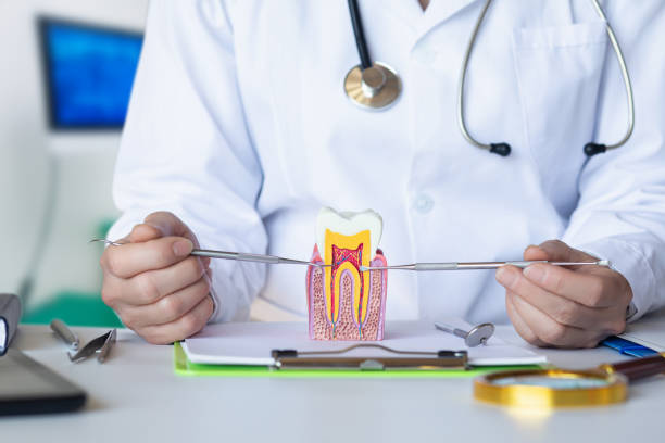 Best Emergency Treatment for Dental Infections or Abscesses in Fayette, MO